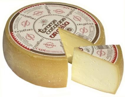 Tomme Catalane