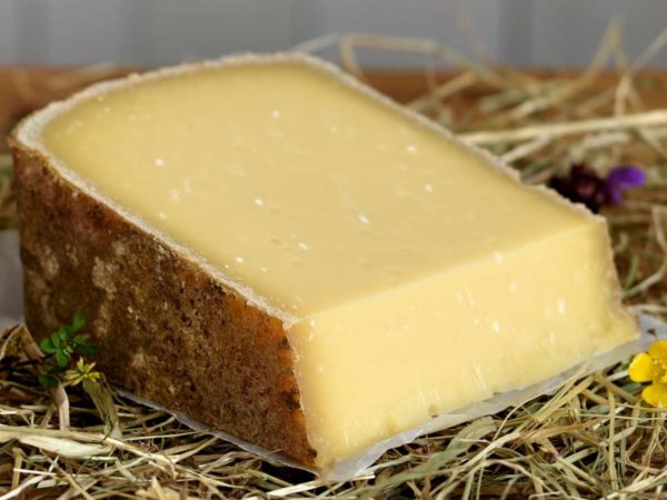 Comté Französischer Bergkäse